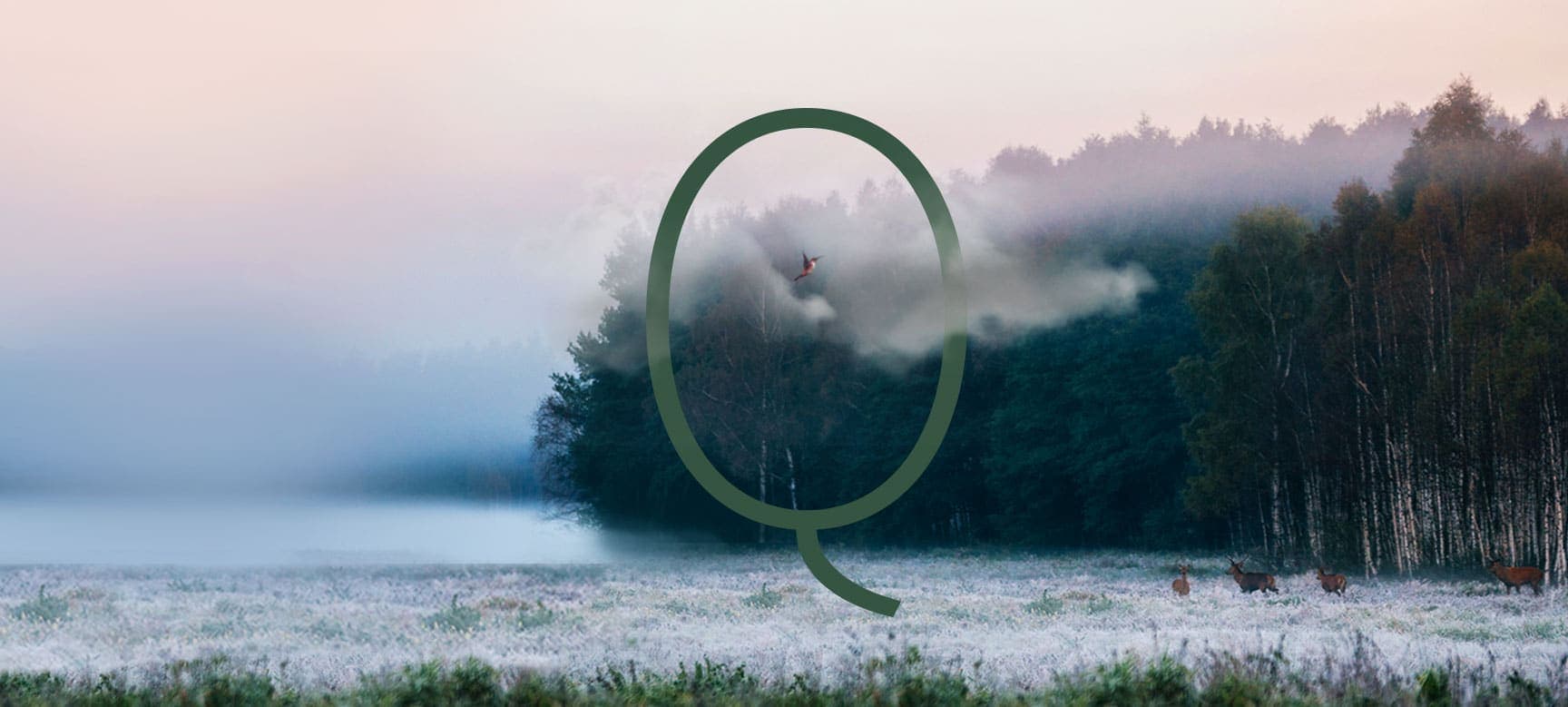 Sfeerbeeld van Bosque