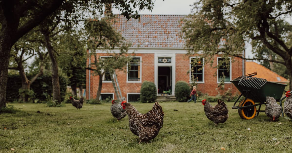 Sfeerbeeld van Op Maarhuizen
