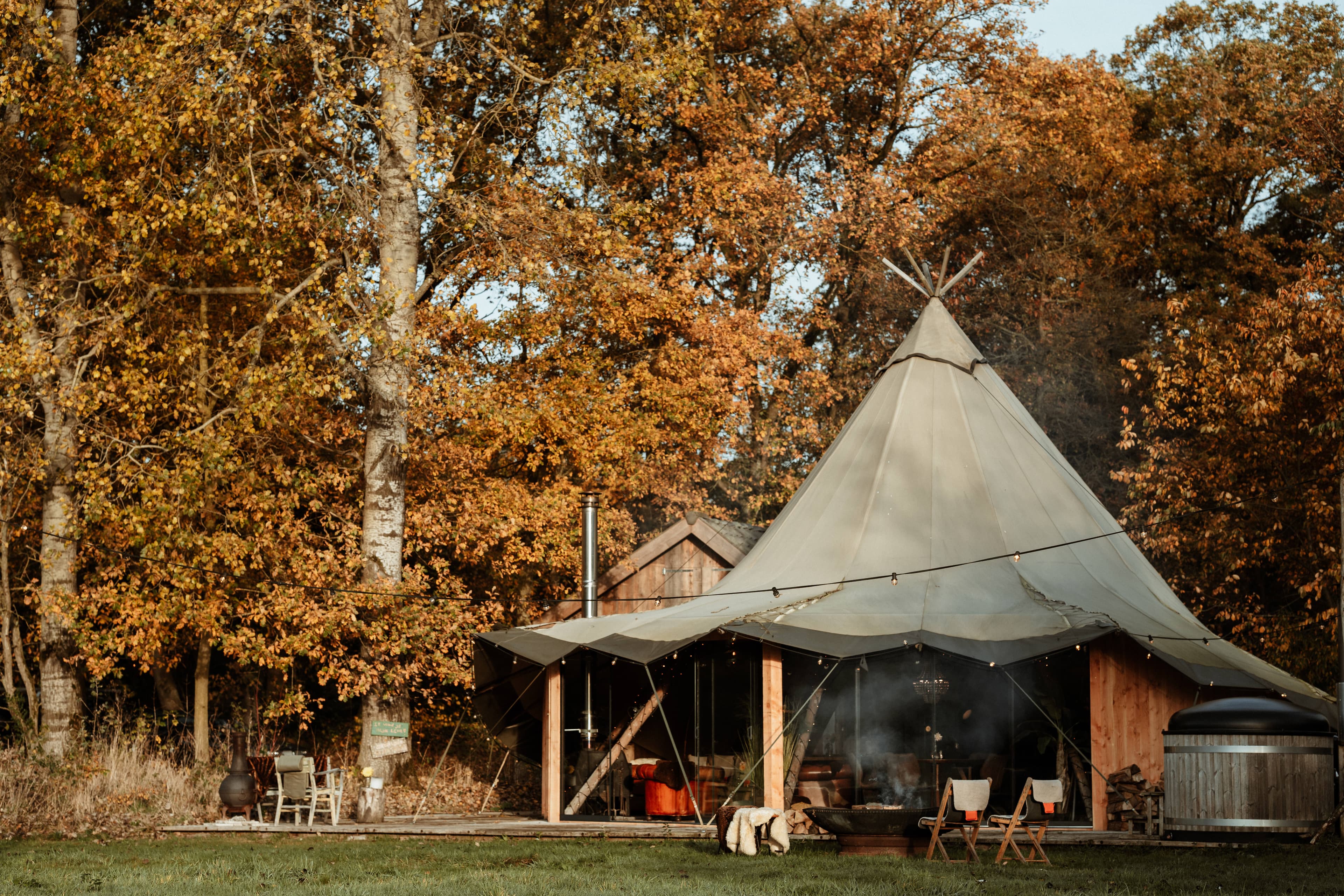 Sunfield Experience